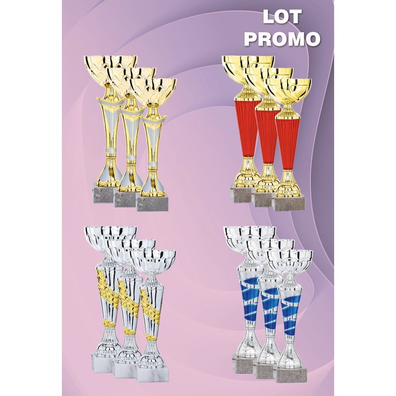 Lot de 12 coupes (24 cm) - Clubs de sport