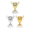 Coupe personnalisée de 13 cm -Clubs de sport !