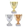 Coupe personnalisée de 18 cm -Clubs de sport !