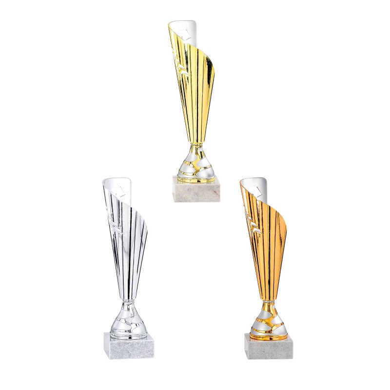 Coupe personnalisée de 30 cm -Clubs de sport !