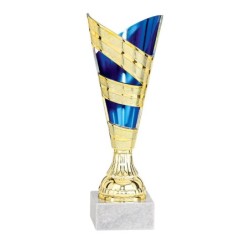 Coupe personnalisée de 21 cm -Clubs de sport !