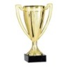 Coupe personnalisée de 12 cm -Clubs de sport !