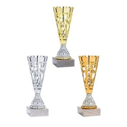 Coupe personnalisée de 24 cm -Clubs de sport !