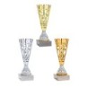 Coupe personnalisée de 24 cm -Clubs de sport !