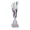 Coupe personnalisée de 30 cm -Clubs de sport !