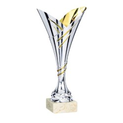 Coupe personnalisée de 29 cm -Clubs de sport !