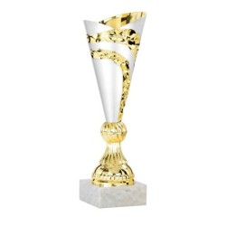 Coupe personnalisée de 24 cm -Clubs de sport !