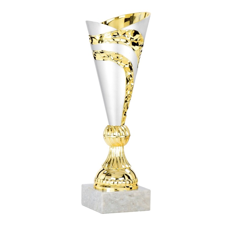 Coupe personnalisée de 24 cm -Clubs de sport !