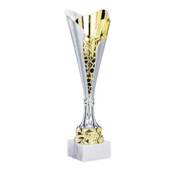 Coupe personnalisée de 31 cm -Clubs de sport !