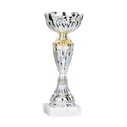 Coupe Métal personnalisée de 17 cm -Clubs de sport !
