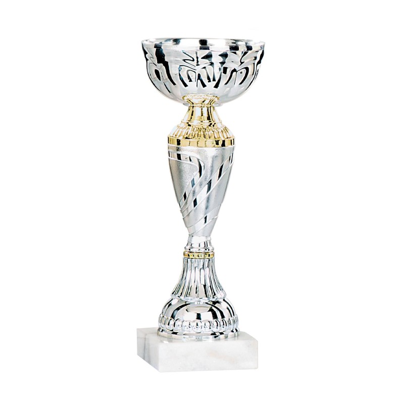 Coupe Métal personnalisée de 17 cm -Clubs de sport !
