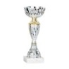 Coupe Métal personnalisée de 17 cm -Clubs de sport !