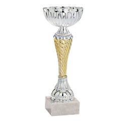 Coupe Métal personnalisée de 17 cm -Clubs de sport !