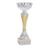 Coupe Métal personnalisée de 17 cm -Clubs de sport !