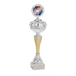 Coupe Métal Personnalisée - 27 cm - Grand choix de sports