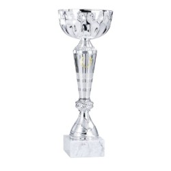 Coupe sportive en métal personnalisable – Clubs sportifs – Réf. 1511