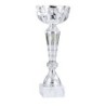 Coupe sportive en métal personnalisable – Clubs sportifs – Réf. 1511