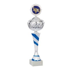Coupe Métal Personnalisée - 29 cm - Grand choix de sports