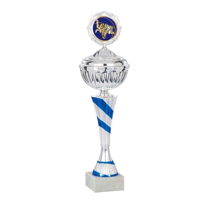 Coupe Métal Personnalisée - 29 cm - Grand choix de sports