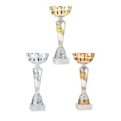 Coupe Métal personnalisée de 31 cm -Clubs de sport !