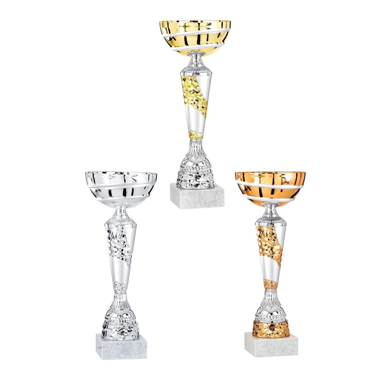 Coupe Métal personnalisée de 31 cm -Clubs de sport !