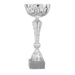 Coupe Métal personnalisée de 25 cm -Clubs de sport !