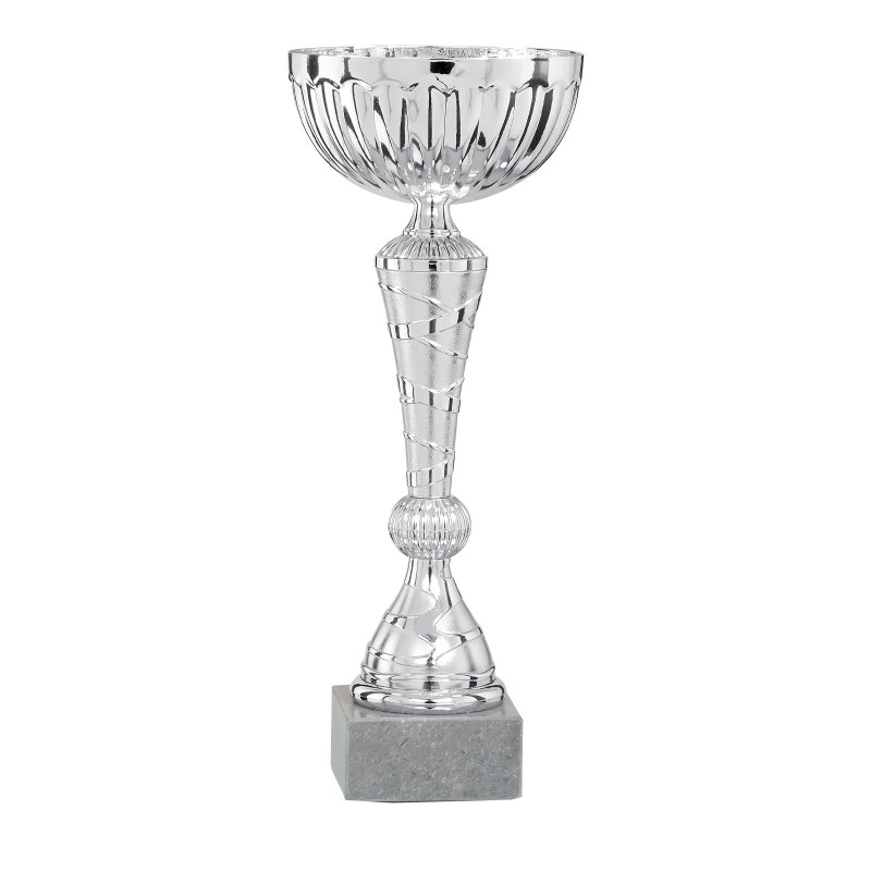 Coupe Métal personnalisée de 25 cm -Clubs de sport !