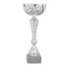 Coupe Métal personnalisée de 25 cm -Clubs de sport !