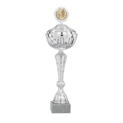 Coupe Métal Personnalisée - 35 cm - Grand choix de sports