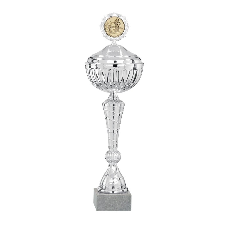 Coupe Métal Personnalisée - 35 cm - Grand choix de sports