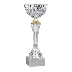 Coupe Métal personnalisée de 20 cm -Clubs de sport !