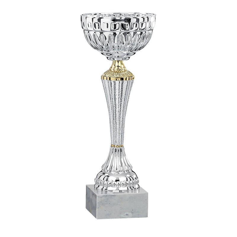 Coupe Métal personnalisée de 20 cm -Clubs de sport !