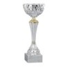 Coupe Métal personnalisée de 20 cm -Clubs de sport !