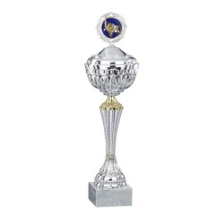 Coupe Métal Personnalisée - 20 cm - Grand choix de sports