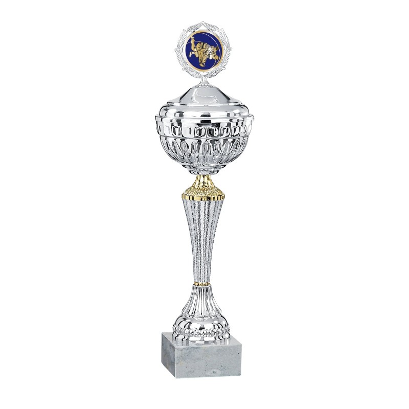 Coupe Métal Personnalisée - 20 cm - Grand choix de sports
