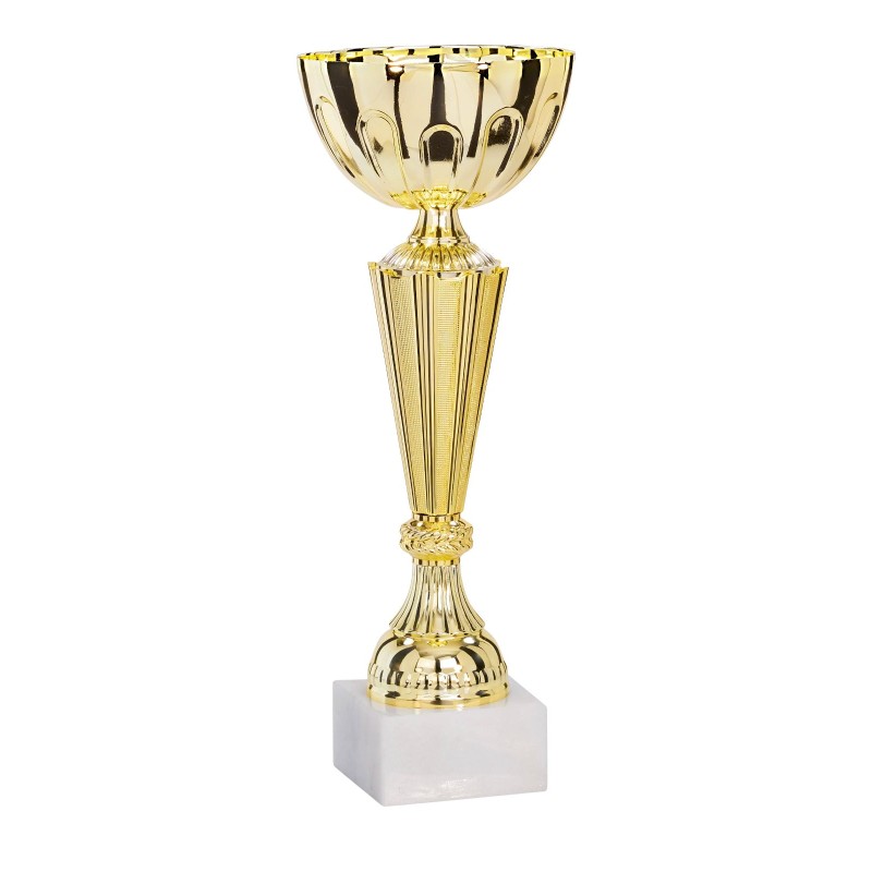 Coupe Métal personnalisée de 22 cm -Clubs de sport !