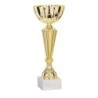 Coupe Métal personnalisée de 22 cm -Clubs de sport !