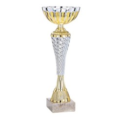 Coupe Métal personnalisée de 20 cm -Clubs de sport !