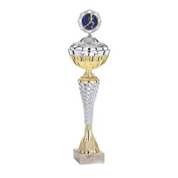 Coupe Métal Personnalisée - 30 cm - Grand choix de sports