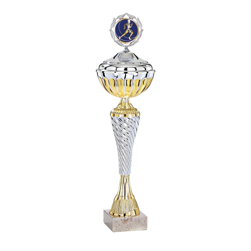 Coupe Métal Personnalisée - 30 cm - Grand choix de sports