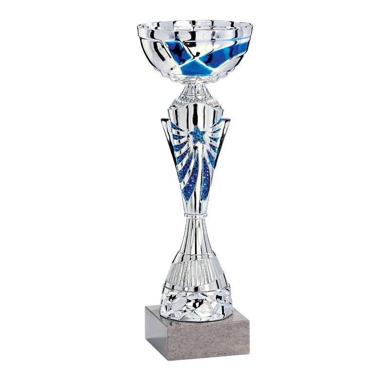 Coupe Métal personnalisée de 26 cm -Clubs de sport !