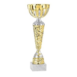Coupe Métal personnalisée de 23 cm -Clubs de sport !