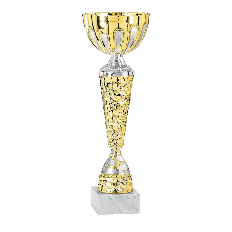 Coupe Métal personnalisée de 23 cm -Clubs de sport !
