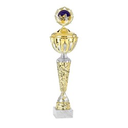 Coupe Métal Personnalisée - 33 cm - Grand choix de sports