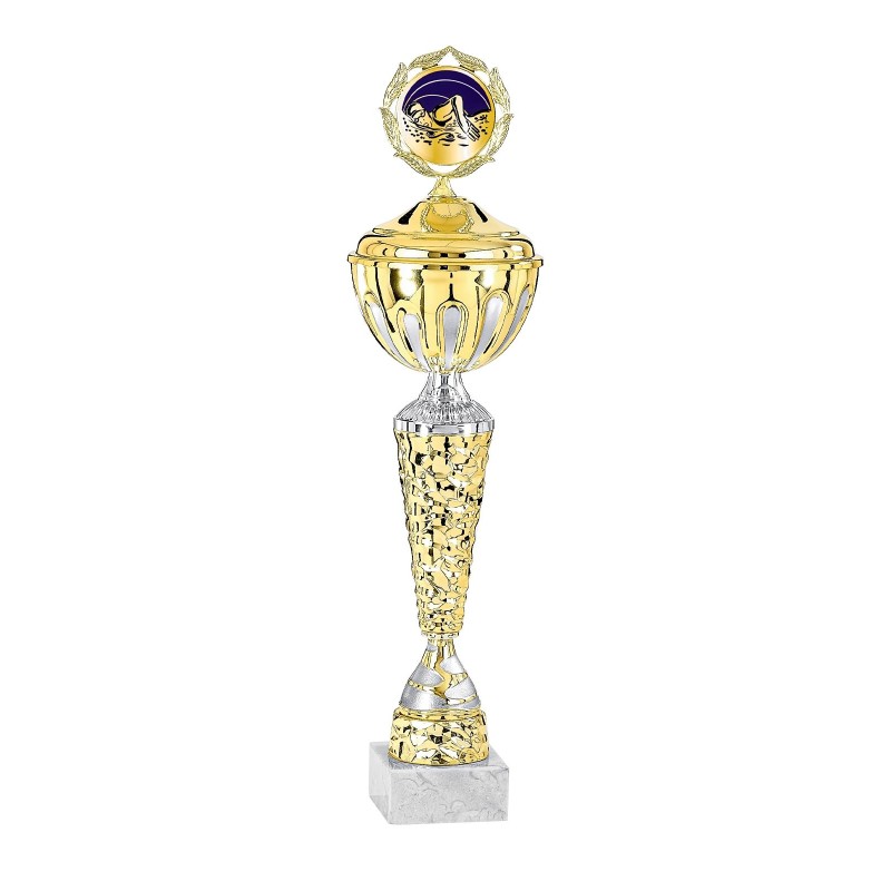Coupe Métal Personnalisée - 33 cm - Grand choix de sports