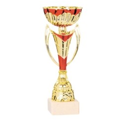 Coupe Métal personnalisée de 23 cm -Clubs de sport !