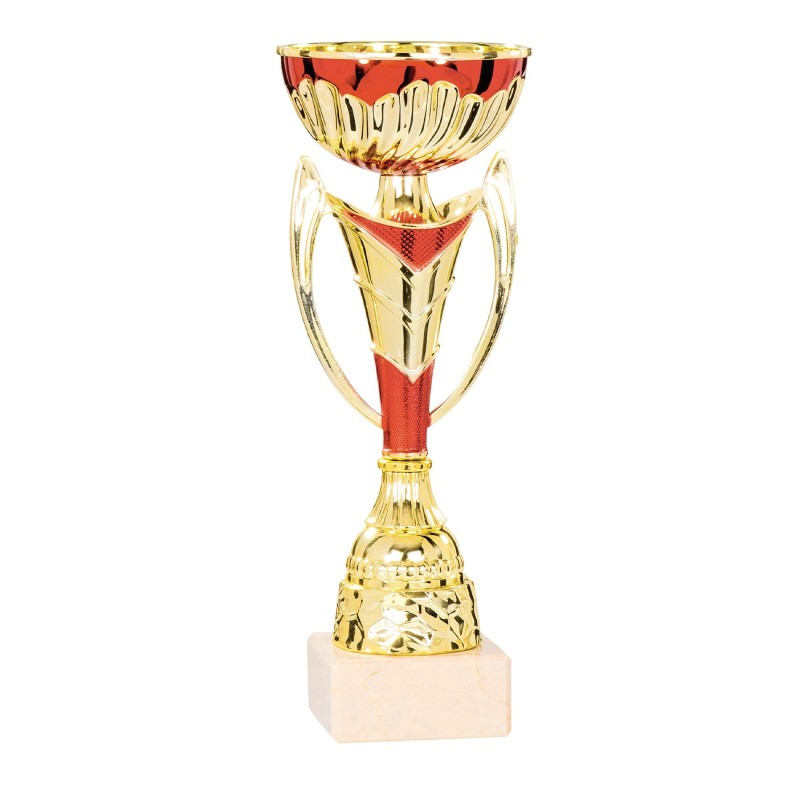 Coupe Métal personnalisée de 23 cm -Clubs de sport !