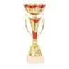 Coupe Métal personnalisée de 23 cm -Clubs de sport !