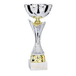 Coupe Métal personnalisée de 25 cm -Clubs de sport !