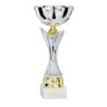 Coupe Métal personnalisée de 25 cm -Clubs de sport !